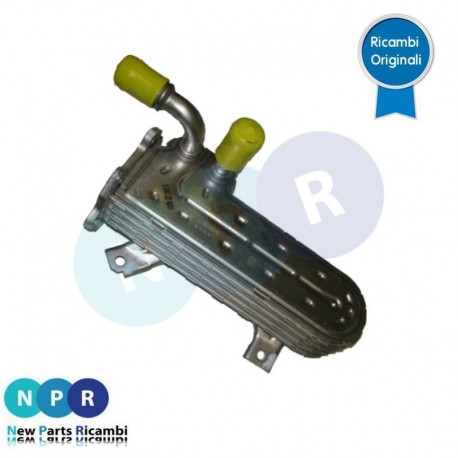 radiatore gas di scarico a cosa serve