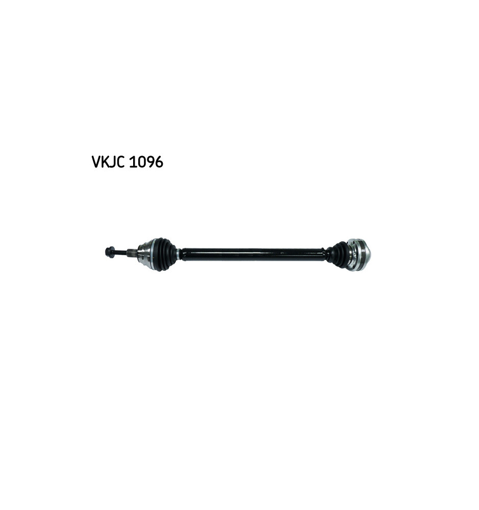 VKJC1096