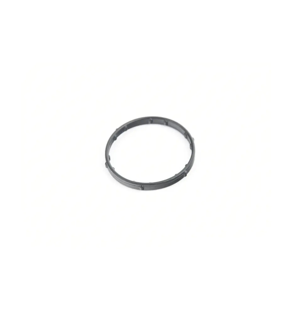 WHT002223