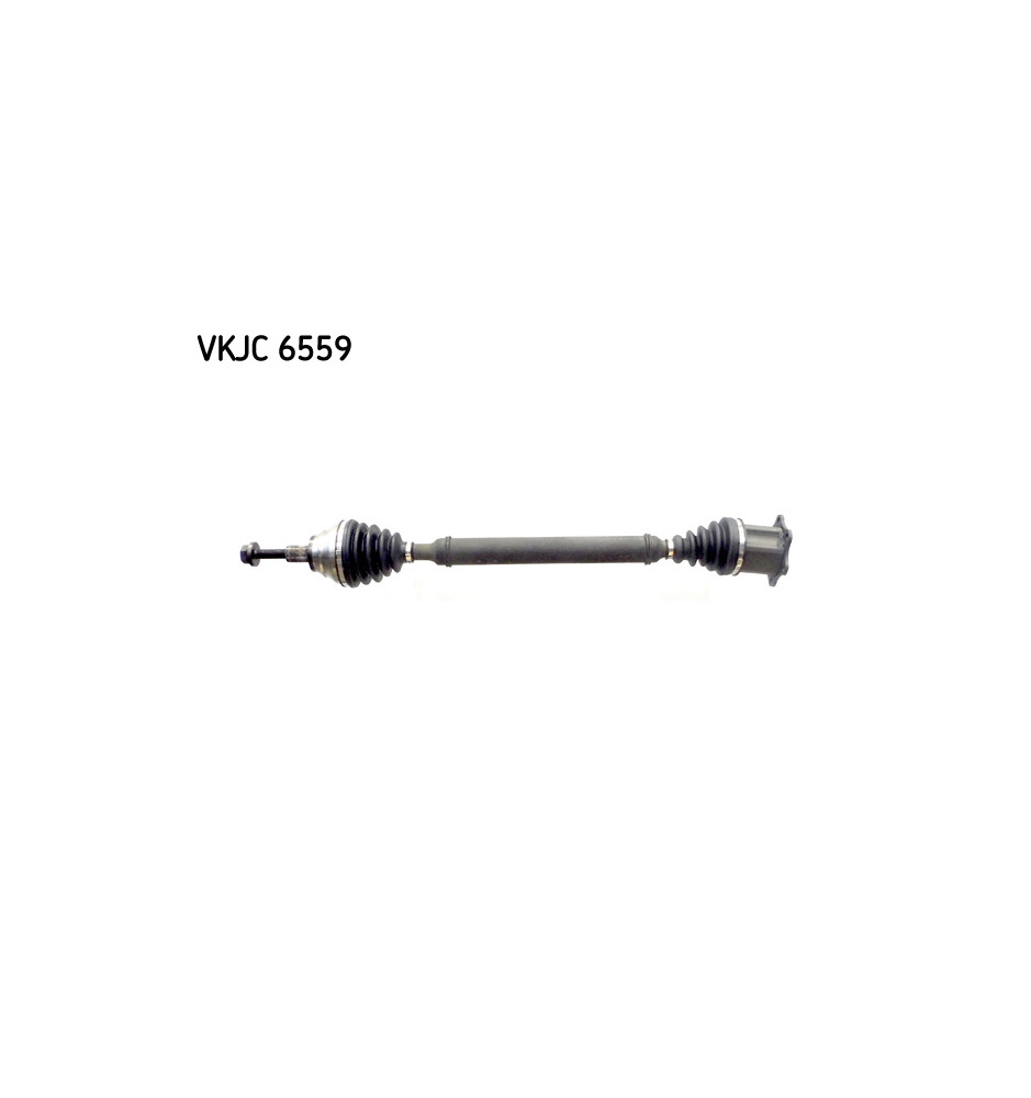 VKJC6559