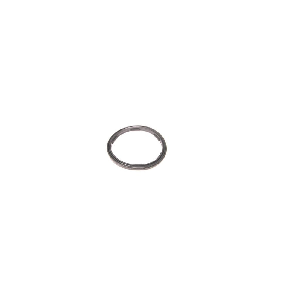 038103196C