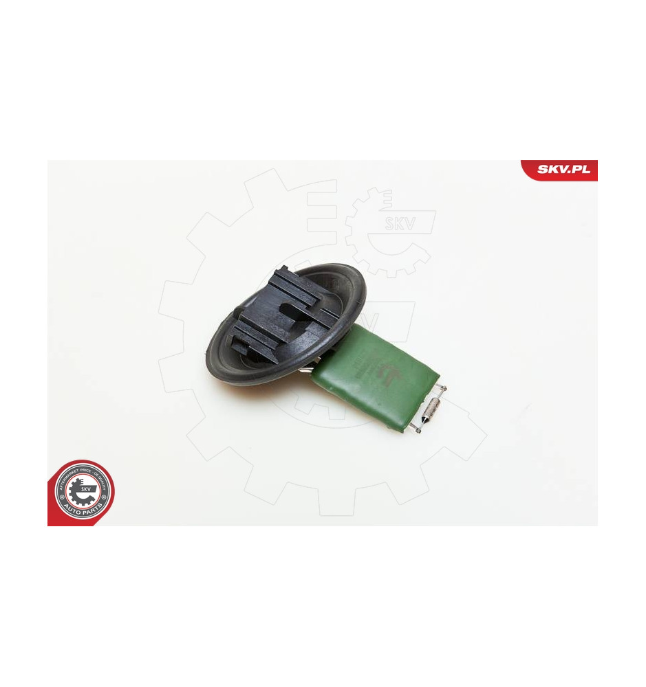 95SKV007