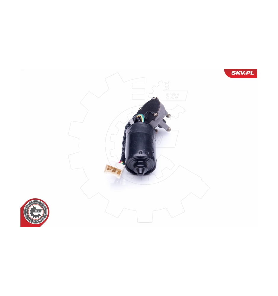 19SKV028