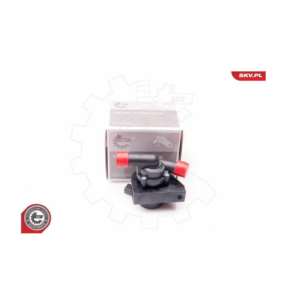 22SKV010