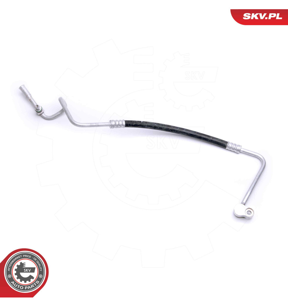 43SKV501