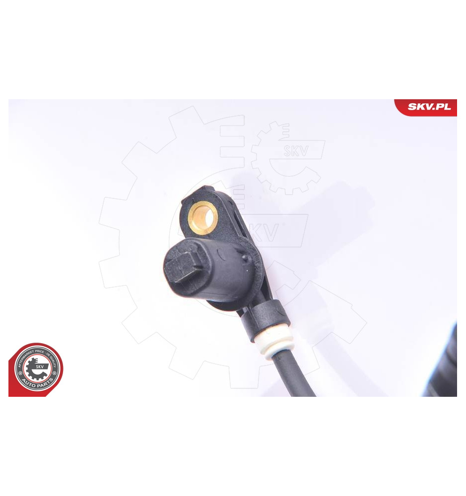 06SKV114