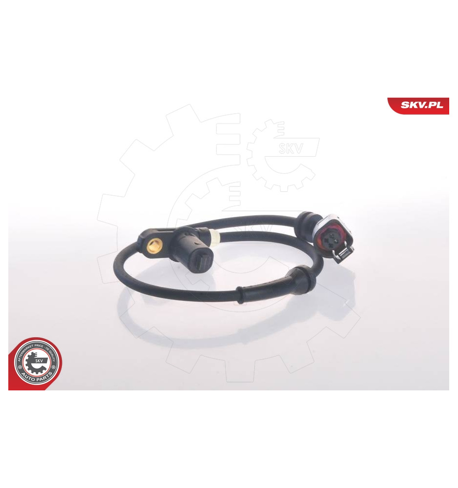 06SKV113