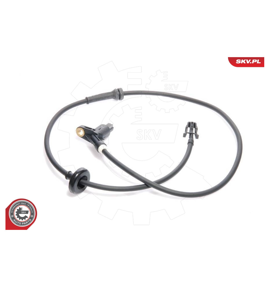 06SKV074