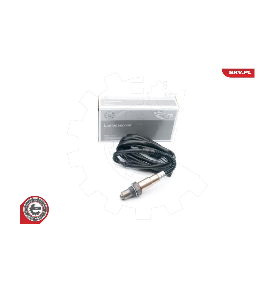 09SKV624
