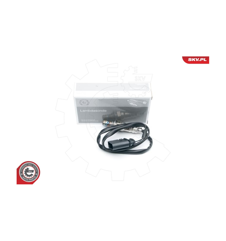 09SKV620