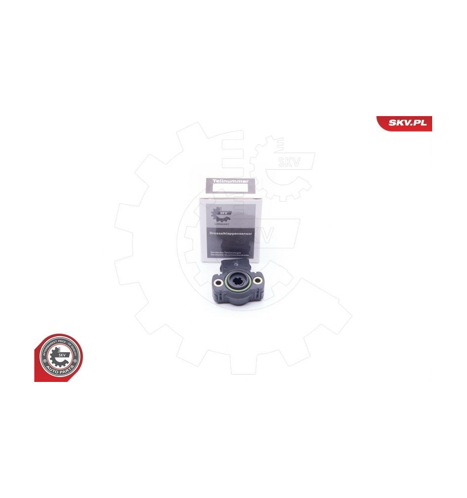 17SKV011