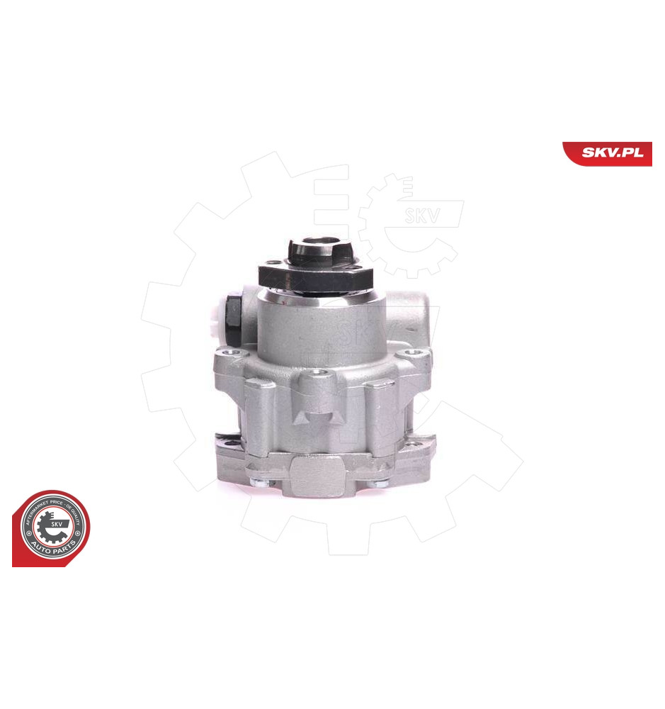 10SKV121