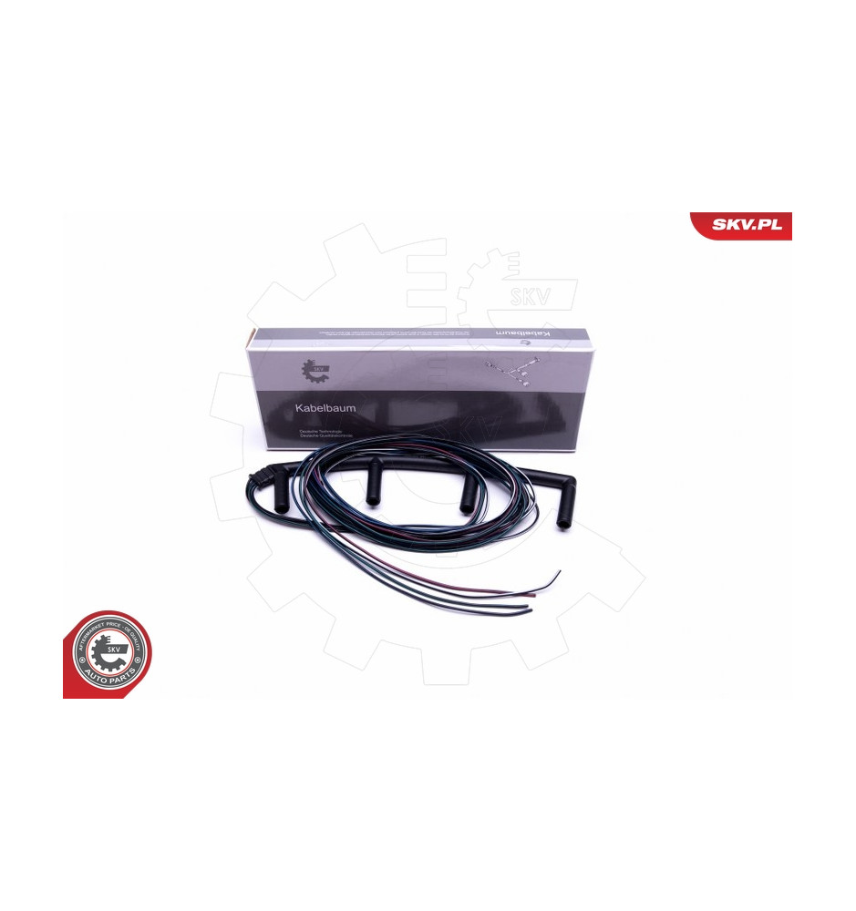 53SKV012