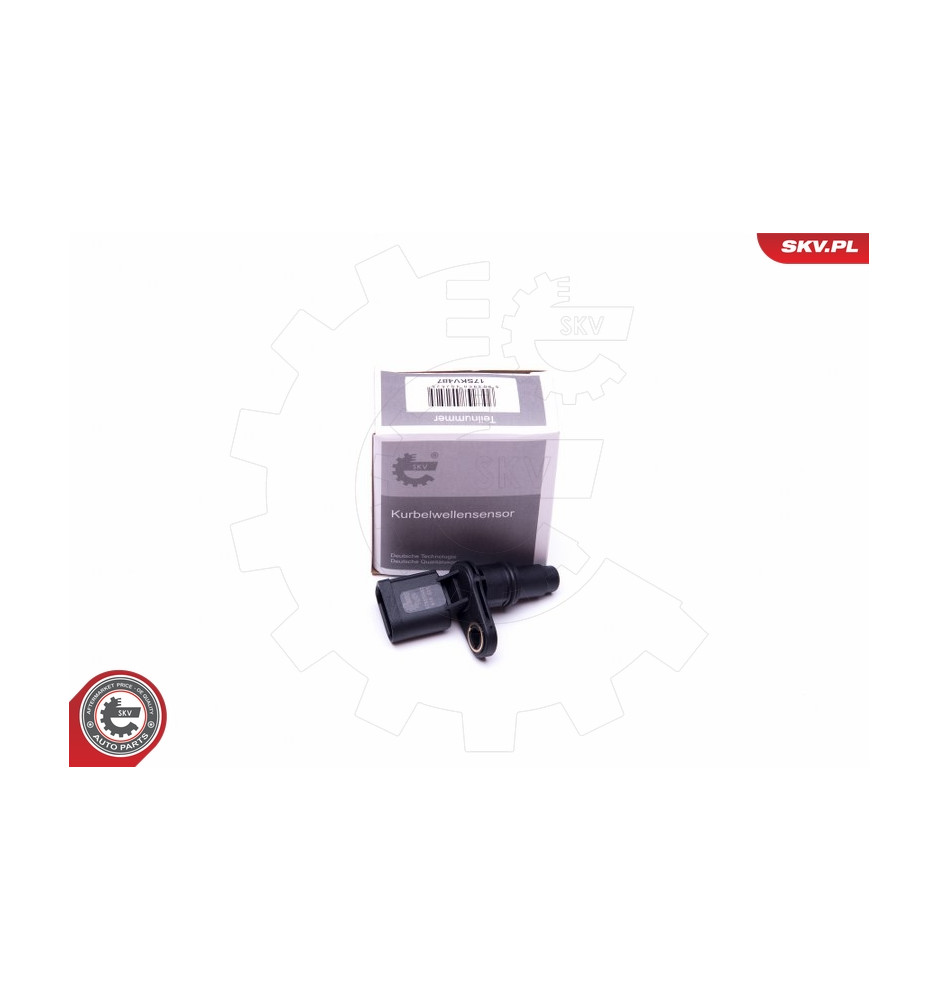 17SKV487