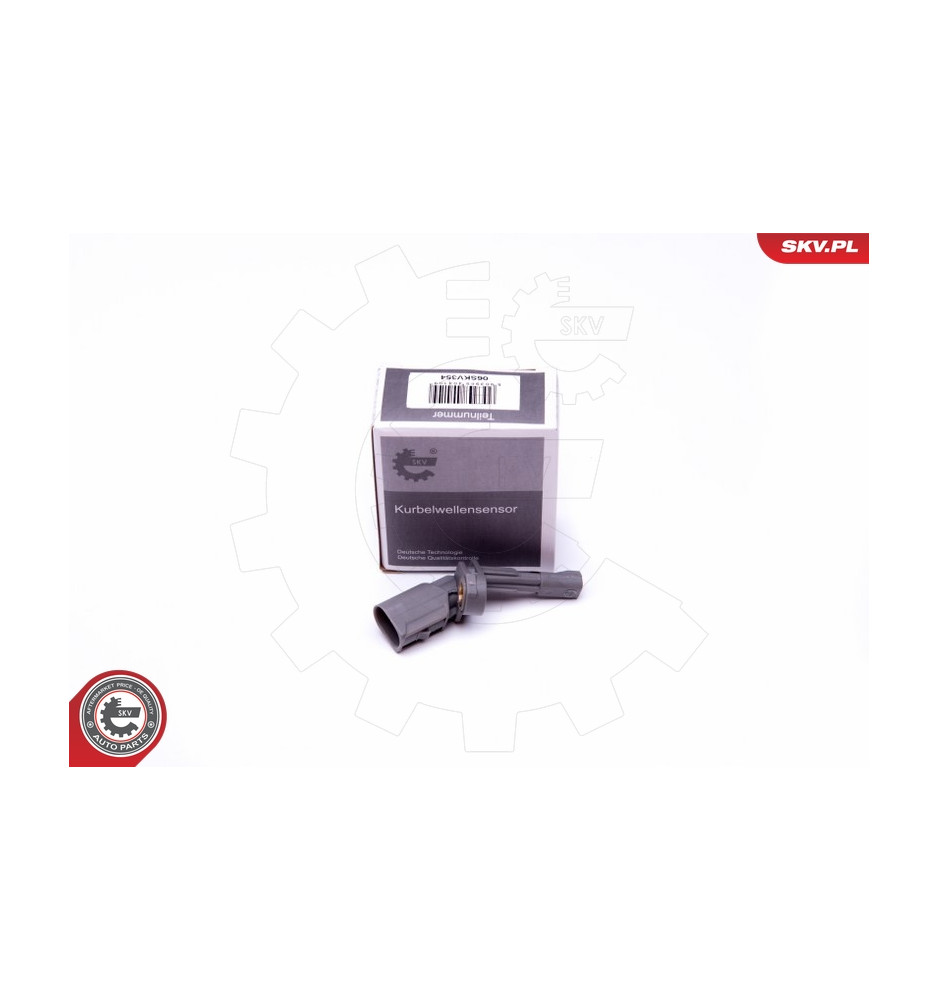 06SKV354
