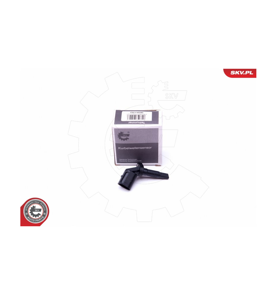 06SKV353