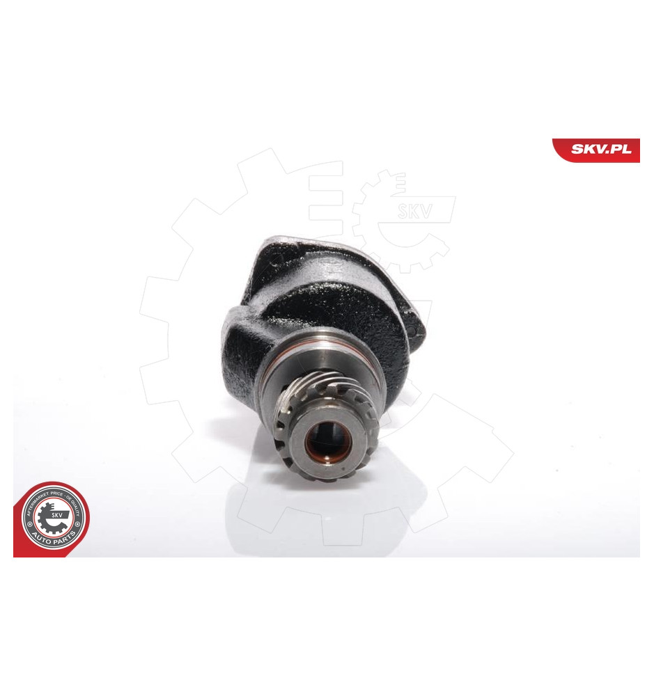 18SKV001