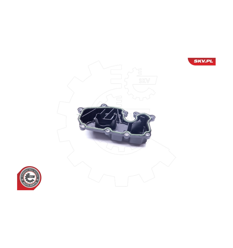 31SKV089