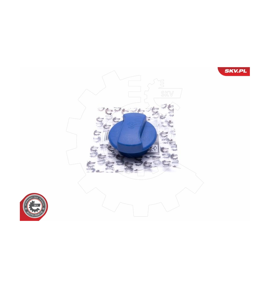 61SKV013