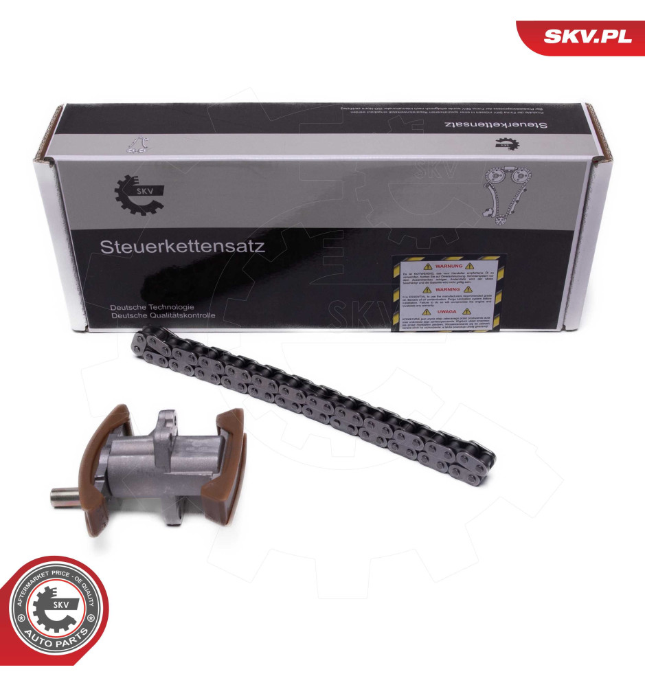 21SKV269