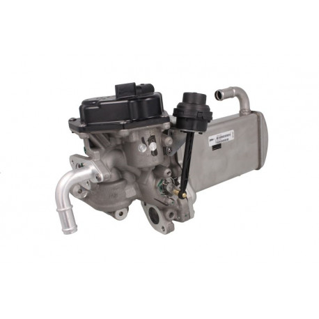 EGR134R