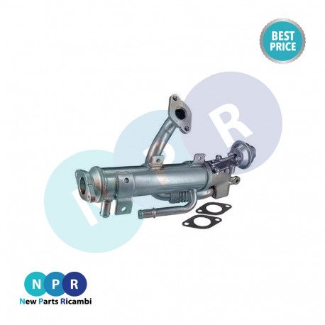 EGR209AN
