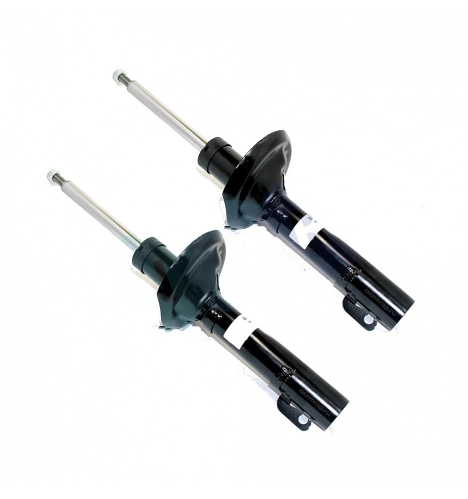 2XJZW413031H