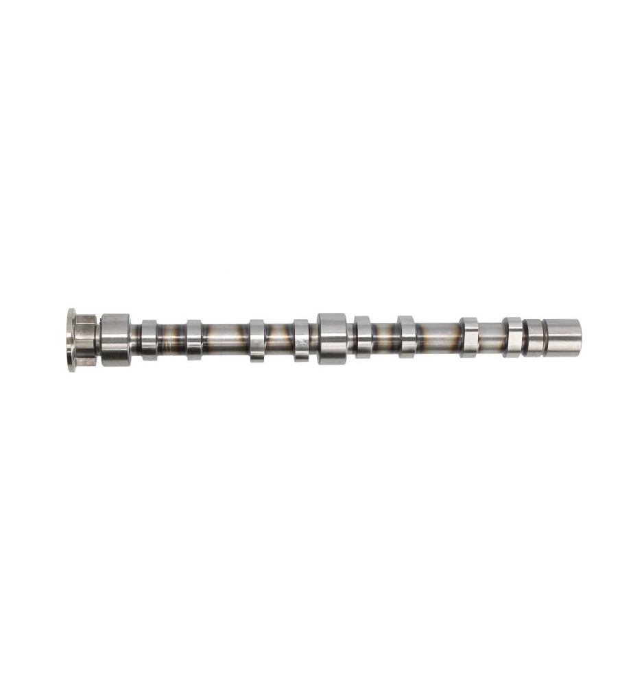 MOTTCK218
