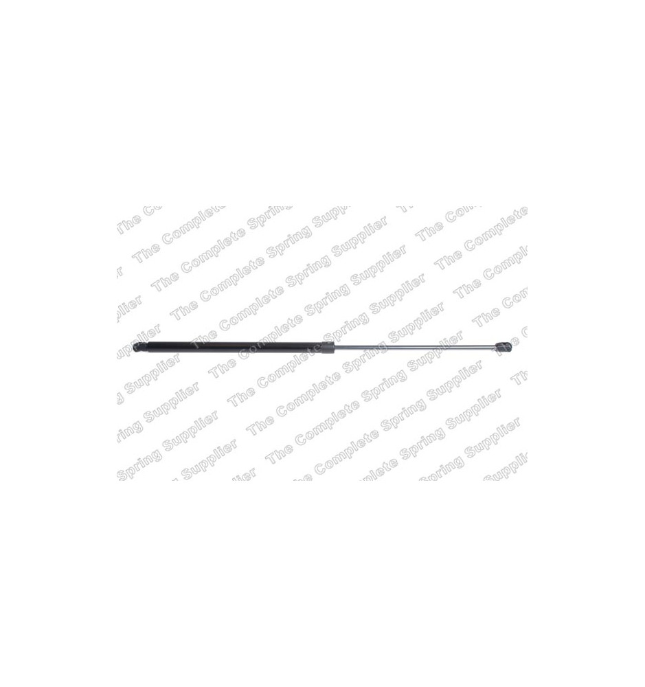 LS8195096