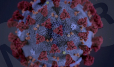 LETTERA AI TEMPI DEL CORONAVIRUS